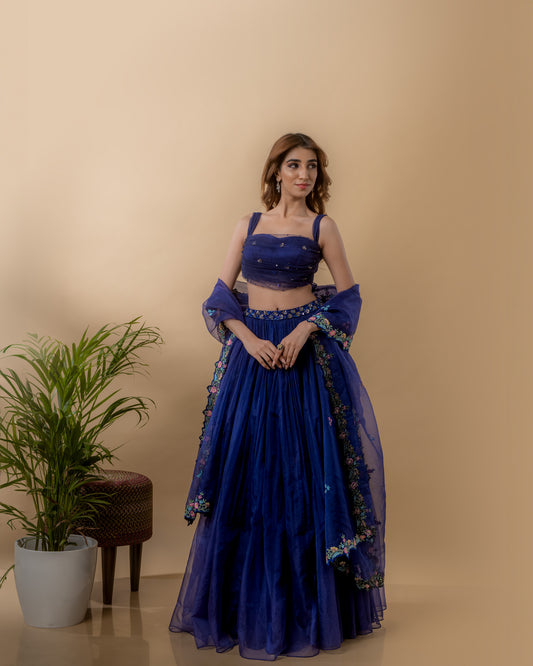 YS19 Dark Blue Lehenga Set with hand embroidered dupatta & blouse